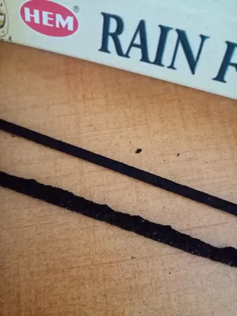 عود هم مدل جنگل بارانی