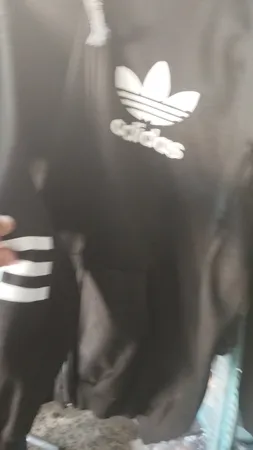 سویشرت مردانه کد ZM24 رنگ مشکی