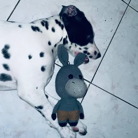 عروسک بافتنی مدل الاغ کد 01