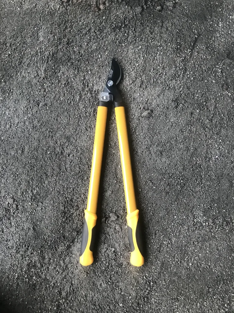 قیچی باغبانی دینگشی مدل ISB