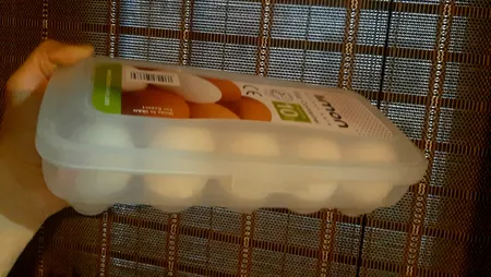 جا تخم مرغی لیمون مدل 10Eggs