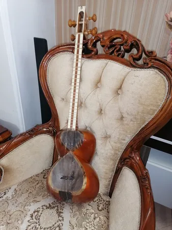 پوست طبیعی تار مدل بره تودلی