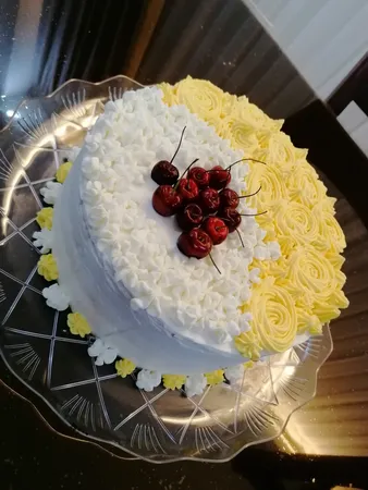 قیف خامه زن آیسینگ ست مدل 002 مجموعه 11 عددی