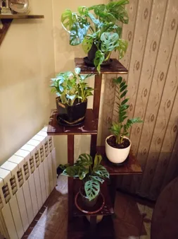 استند گلدان مدل i8