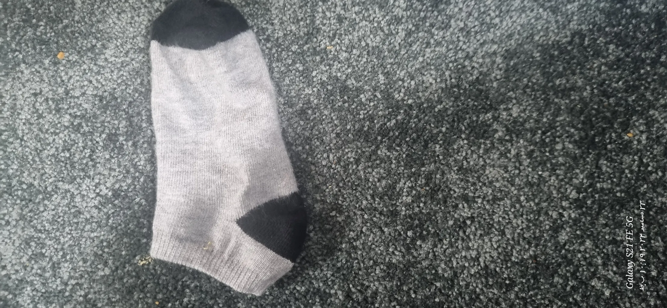 جوراب بچگانه لوپیلو مدل روزهای هفته مجموعه 7 عددی