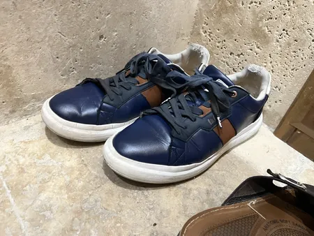 اسپری تمیز کننده کفش پاریز کد 320