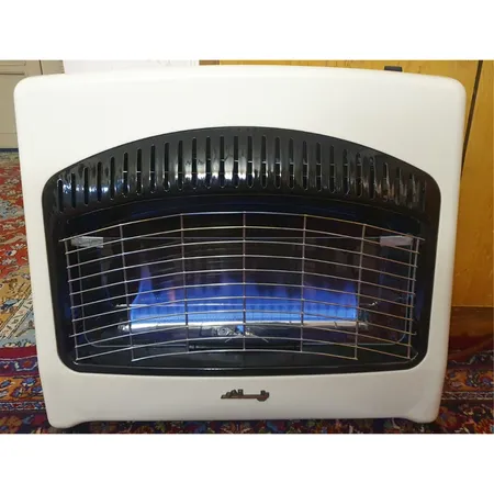 بخاری گازی پلار مدل 30KN