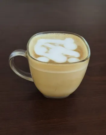 اسپرسو ساز زیگما مدل 222 rl