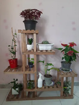 استند گلدان مدل 208