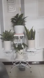 استند گلدان مدل قلب