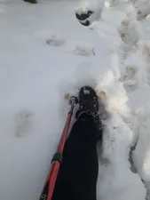 تجریه خرید عصا کوهنوردی بوفالو مدل آنتی شک