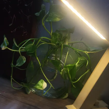 چراغ مطالعه کد P0410