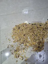 تجریه خرید خوراک جوندگان گلدن ماری مدل Misto وزن 1000گرم