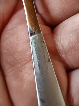 قاشق مربا خوری مدل Rose بسته 6 عددی