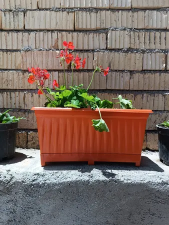 گلدان مدل پلاستیکی مستطیلی کد Sh36-3 مجموعه 3 عددی