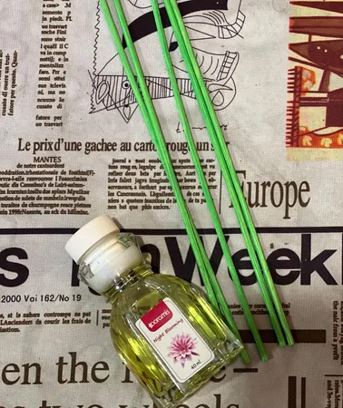 خوشبوکننده هوا درامیس مدل ملکه شب حجم 40 میلی لیتر