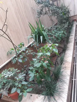 لوازم آبیاری قطره ای تهران دریپ مدل ALFA-50 مجموعه 50 عددی