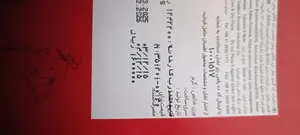 تجریه خرید ویفر شکلاتی مینی بایکیت فندقی شونیز - 500 گرم