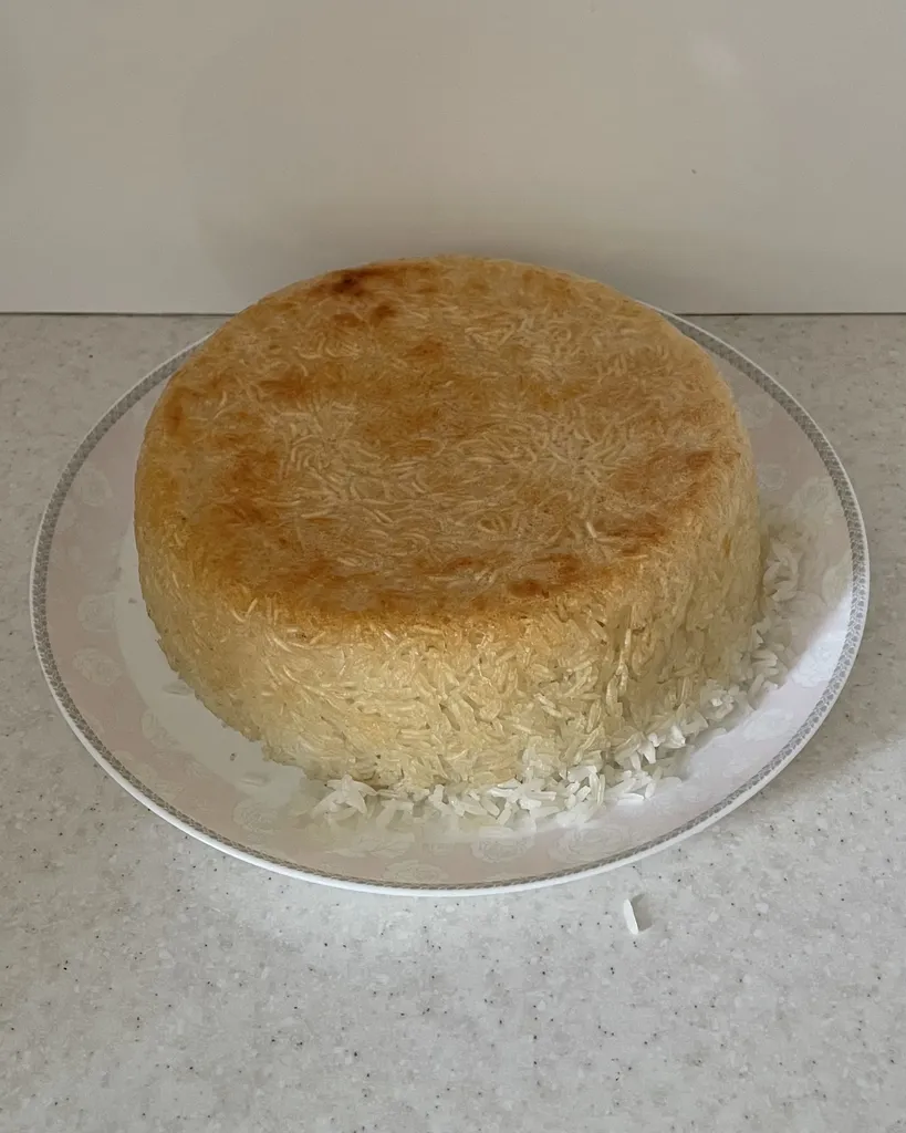 پلوپز پارس خزر مدل RC-101TSP