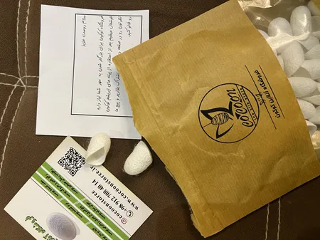 پیله ابریشم کوکون مدل 01 بسته 30 عددی