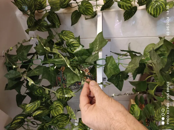 عکس ارسالی خریدار