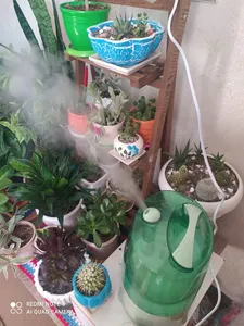 تجریه خرید دستگاه بخور سرد مدل Family Care