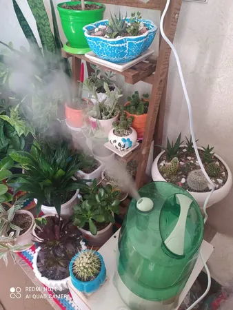 دستگاه بخور سرد مدل Family Care