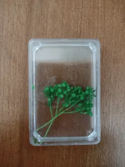 بسته کار با رزین اپوکسی چلیپا مدل Starter Kit مجموعه 22 عددی