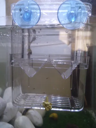 زایشگاه ماهی رویال مدل sn_113