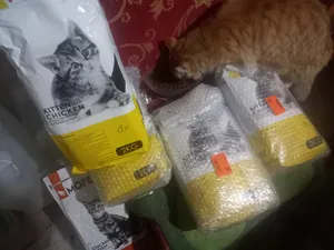 تجریه خرید غذای گربه مفید مدل بالغ طعم ماهی و مرغ وزن 2000 گرم