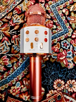 میکروفون اسپیکر بلوتوثی اسمارت بری مدل WS-858