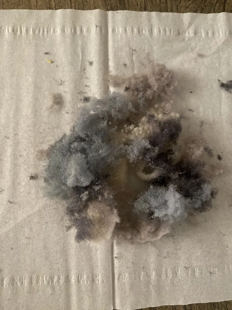 پرزگیر برقی لباس شیائومی مدل MQXJQ02KL