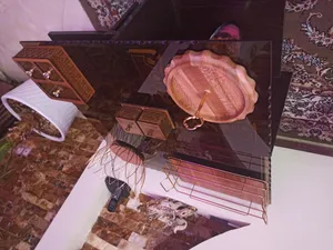 تجریه خرید شیرینی خوری چوبیس کد۲۶۲