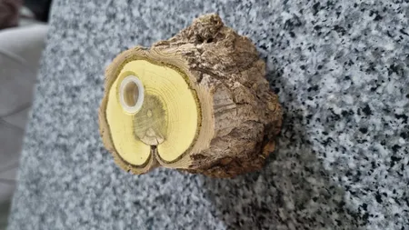 نمکدان چوبی WeWood