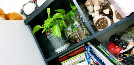 گیاه طبیعی پتوس سبز کد 101