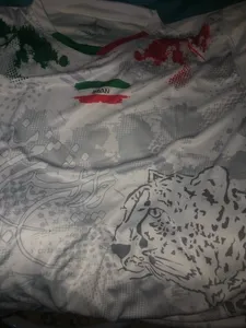 تجریه خرید تی شرت ورزشی مردانه مدل هواداری تیم ملی ایران 2023