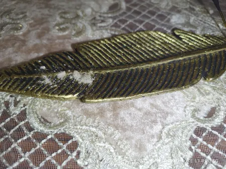 جاعودی مدل پر اکالیپتوس