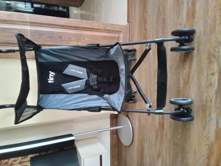 کالسکه دلیجان مدل تاینی