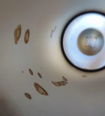 فلاسک مدل UN-101 گنجایش 1 لیتر