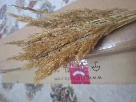 گل خشک مدل قمیش