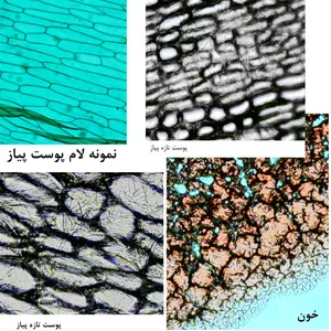 تجریه خرید میکروسکوپ دیجیتال مدل INSKAM 315W