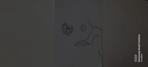 تجریه خرید راپید یونی بال مدل Pin 200 قطر نوشتاری 0.8 میلی متر