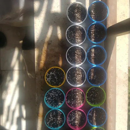 گلدان کلاسیک مدل G3004 مجموعه 50 عددی