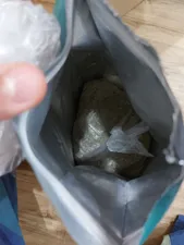 تجریه خرید غذاي خشک گربه رفلکس مدل Sterilised with Chicken وزن 1.5 کيلوگرم