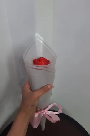 کاغذ کادو طرح شفاف 3003 سایز 50*70 سانتی متر بسته 20 عددی