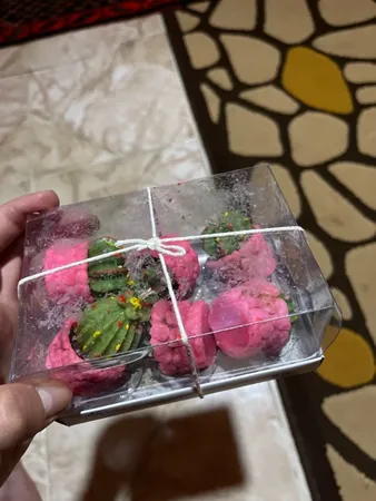 شمع طرح کاکتوس مجموعه 6 عددی