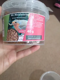 غذای خشک میل ورم تاپ فید کد 040 وزن 40 گرم