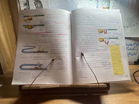 نگهدارنده کتاب مدل کتابخوان پلاس