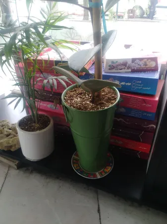 گلدان مدل تورینگ 30