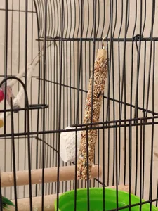 تجریه خرید تشویقی طوطی هپی برد مدل استیک پرستیژ وزن 60 گرم